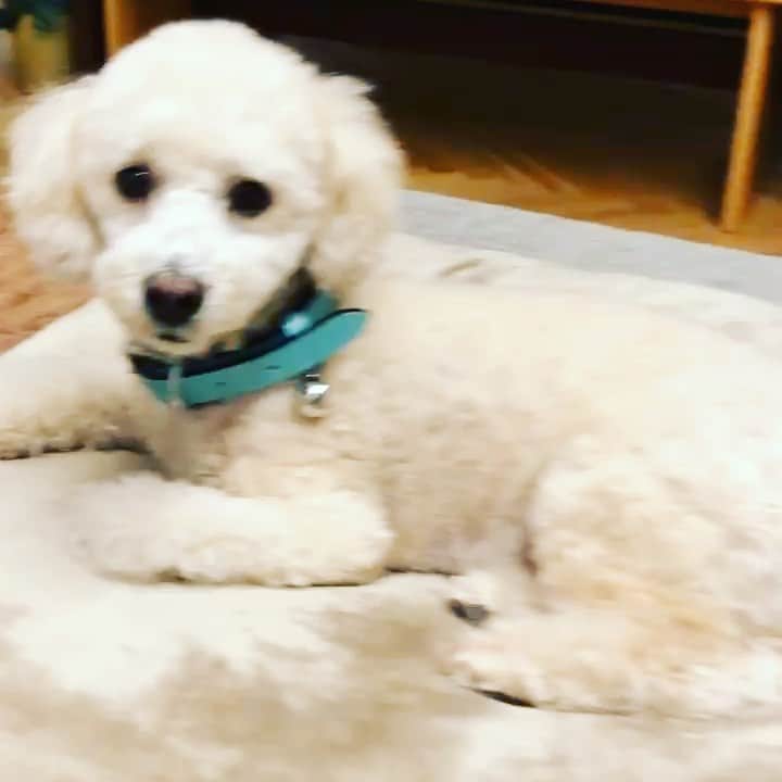 金村義明のインスタグラム