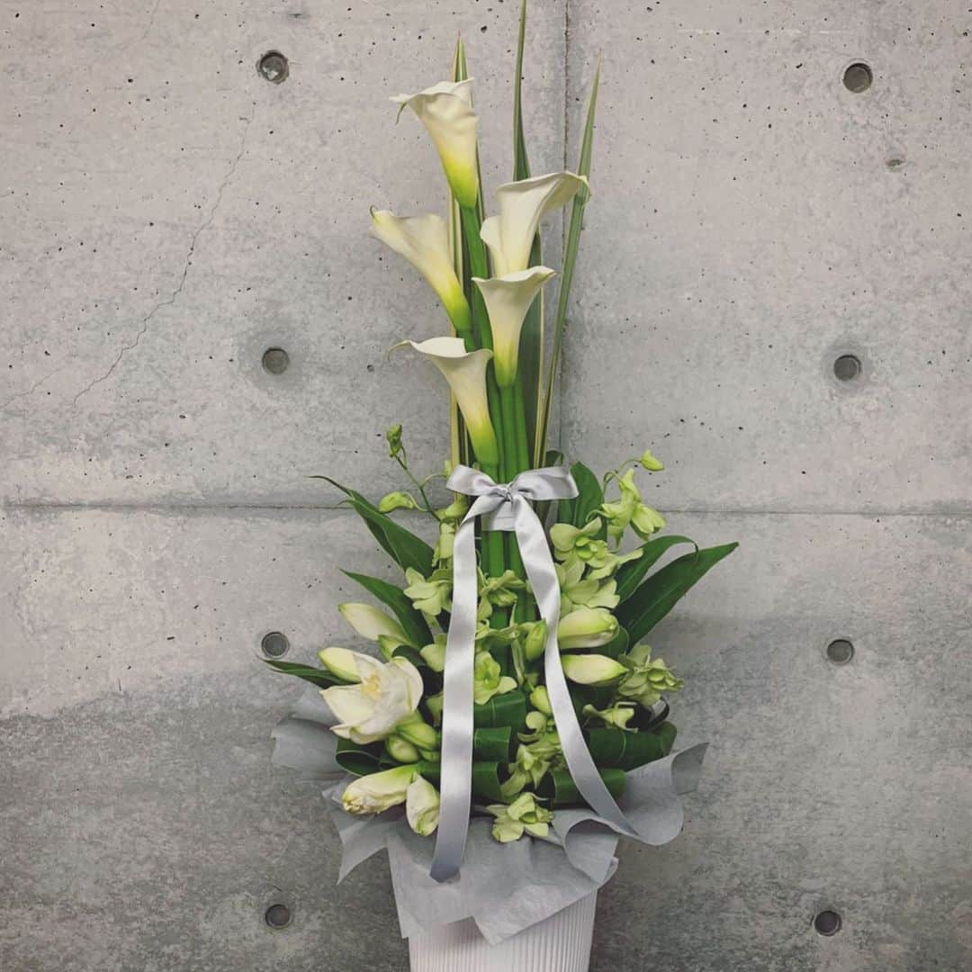 畑野ひろ子のインスタグラム：「カラーとアマリリスの白グリーンアレンジギフト。  #flower #flowers #arrangement #gift #白グリーン #willgarden」