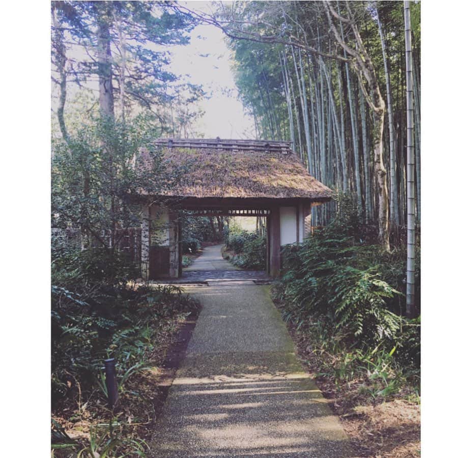 坪田あさみのグルメインスタ