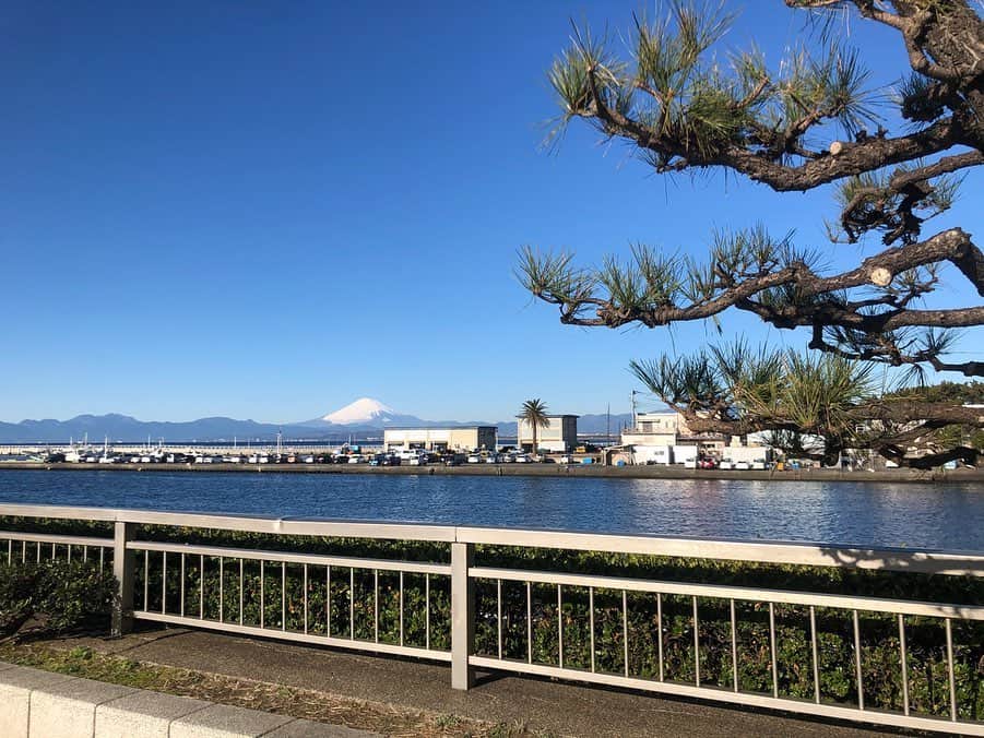 今井安紀さんのインスタグラム写真 - (今井安紀Instagram)「I went to Enoshima to do my first shrine visit of the New Year. I also saw beautiful Mt. Fuji from there. 昨日やっと初詣に行きました。めっちゃ綺麗に富士山が見えてそればっかり撮っていたので神社の写真がありません。 江ノ島から富士山が見えるの、これだけ行ってて初めて知ったのだが…！今まで行っていた江ノ島は異世界の江ノ島だったのかな。 岩屋も入れたのですが外の海の水が澄んでエメラルド色で綺麗。  #firstshrinevisit #mtfuji #enoshimaisland #mtfujifromenoshima #olympuspenepl9 #ocean #latergram #初詣 #江島神社 #江の島からの富士山 #江ノ島からの富士山 #海と富士山 #エメラルドブルー #オリンパスペンepl9 #時差スタグラム」1月6日 19時34分 - i_am_akinyan0826
