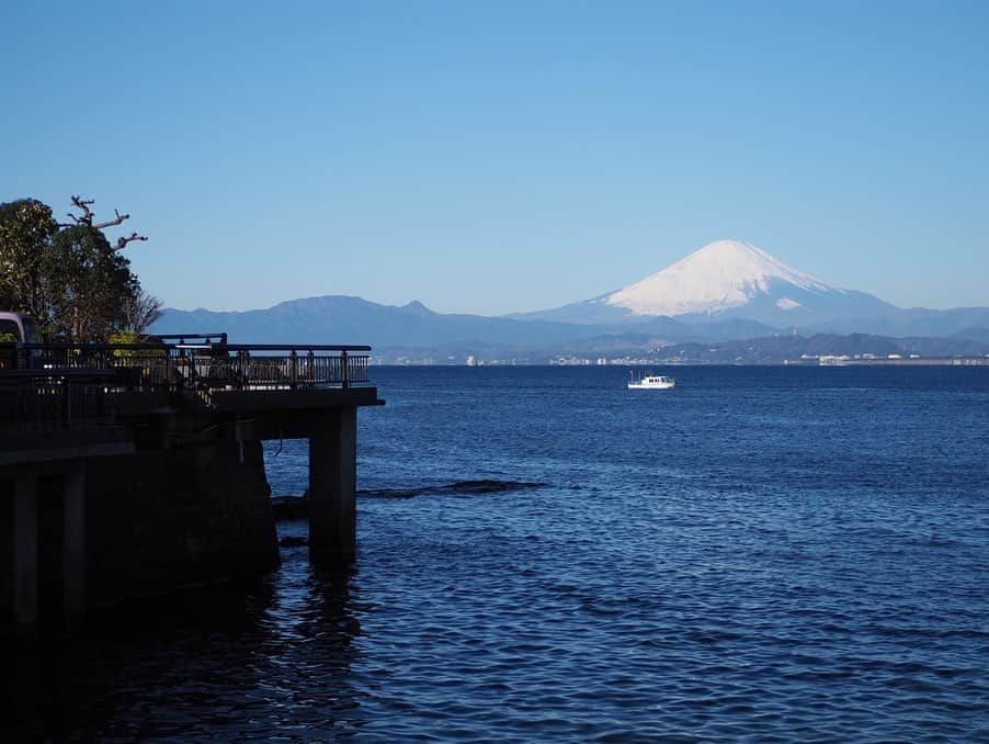 今井安紀のインスタグラム：「I went to Enoshima to do my first shrine visit of the New Year. I also saw beautiful Mt. Fuji from there. 昨日やっと初詣に行きました。めっちゃ綺麗に富士山が見えてそればっかり撮っていたので神社の写真がありません。 江ノ島から富士山が見えるの、これだけ行ってて初めて知ったのだが…！今まで行っていた江ノ島は異世界の江ノ島だったのかな。 岩屋も入れたのですが外の海の水が澄んでエメラルド色で綺麗。  #firstshrinevisit #mtfuji #enoshimaisland #mtfujifromenoshima #olympuspenepl9 #ocean #latergram #初詣 #江島神社 #江の島からの富士山 #江ノ島からの富士山 #海と富士山 #エメラルドブルー #オリンパスペンepl9 #時差スタグラム」