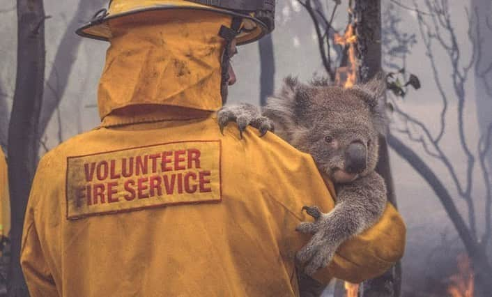 フェデリカ・ペレグリニさんのインスタグラム写真 - (フェデリカ・ペレグリニInstagram)「Pray for Australia, pray for all the firefighters killed, for all the dead animals, for all the citizens who have lost their lives and homes ... we must do something to change the course of history .... NOW.... 🙏🏻🙏🏻💔 #australia 🇦🇺」1月6日 19時42分 - kikkafede88