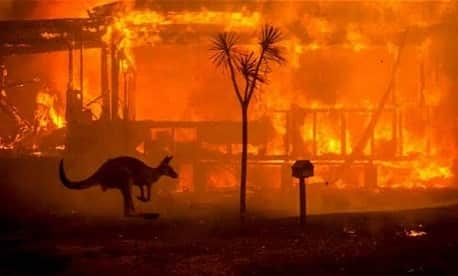 フェデリカ・ペレグリニさんのインスタグラム写真 - (フェデリカ・ペレグリニInstagram)「Pray for Australia, pray for all the firefighters killed, for all the dead animals, for all the citizens who have lost their lives and homes ... we must do something to change the course of history .... NOW.... 🙏🏻🙏🏻💔 #australia 🇦🇺」1月6日 19時42分 - kikkafede88