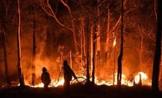 フェデリカ・ペレグリニさんのインスタグラム写真 - (フェデリカ・ペレグリニInstagram)「Pray for Australia, pray for all the firefighters killed, for all the dead animals, for all the citizens who have lost their lives and homes ... we must do something to change the course of history .... NOW.... 🙏🏻🙏🏻💔 #australia 🇦🇺」1月6日 19時42分 - kikkafede88