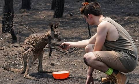 フェデリカ・ペレグリニさんのインスタグラム写真 - (フェデリカ・ペレグリニInstagram)「Pray for Australia, pray for all the firefighters killed, for all the dead animals, for all the citizens who have lost their lives and homes ... we must do something to change the course of history .... NOW.... 🙏🏻🙏🏻💔 #australia 🇦🇺」1月6日 19時42分 - kikkafede88