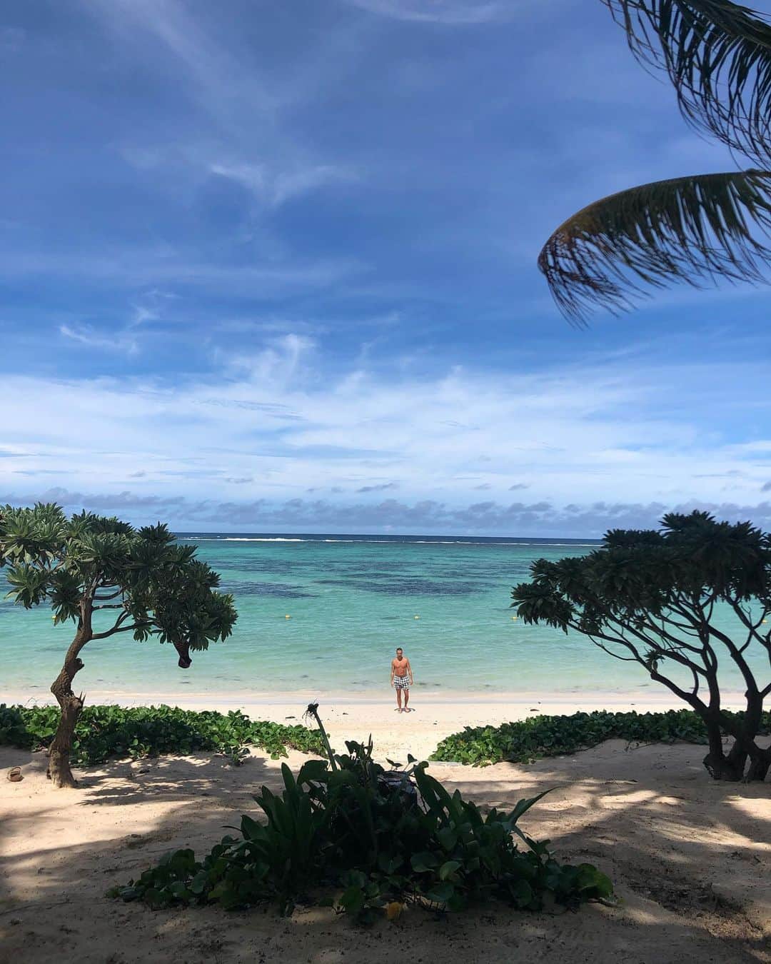 モード・ウェルゼンのインスタグラム：「Last day🦋🐢」