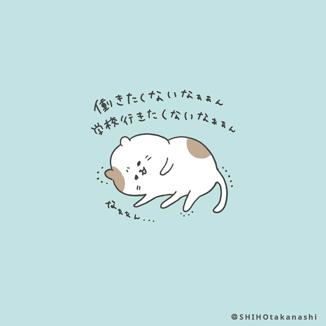 のインスタグラム：「‪生まれ変わったら猫になりたいし生まれ変わらずに今からでも猫になりたいんだけど、どう？」