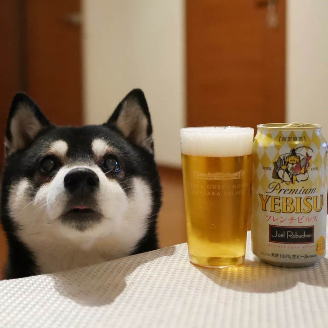 くろのインスタグラム