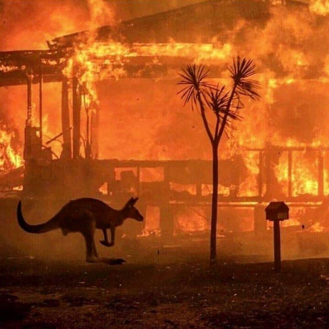 雅-MIYAVI-さんのインスタグラム写真 - (雅-MIYAVI-Instagram)「Is this real? Is it okay to let this happen? After the amazon fire, now #Australia has been burning. More than 5,000,000 hectares of forest has been burnt and more than 500 million animals have been killed... Altho we human beings have the power to control lots of things includes room temp, humidity, fire for food, quality of drinking water with technology, thousands of extraordinary weather is happening and it’s getting worse and worse. Definitely something is wrong. What can we do? What should we do? Strongly feel that we need more individual awareness and change, and also strict global law and rule. This just hurts. 今、アマゾンに続いて、オーストラリアで大規模な火事が起きています。５００万ヘクタール以上の森林が燃え尽き、約５億頭もの動物たちが犠牲になっているそうです。僕たち人間は、水や火、温度や湿度、こんなにもあらゆるものをコントロールできるようになったというのに、ふと見渡せば世界中至るところで異常気象が起こっている。絶対に何かがおかしい。何ができるんだろう？何をすべきなんだろう？僕たち一人一人の意識改革と、世界規模での徹底した法律、ルールづくりが必要だと強く感じます。ただ、胸が痛いよ。 📷: @anthony_hearsey / @mattabbottphoto」1月6日 21時03分 - miyavi_ishihara