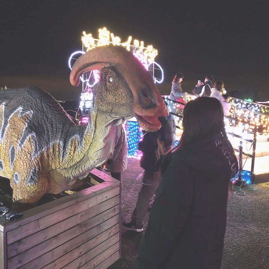 谷中唯彩さんのインスタグラム写真 - (谷中唯彩Instagram)「こんにちは。恐竜さん。🦖 .  안뇽 공룡이야 🦕 . #yuisa #🦖 #dinosaur #ドイツ村」1月6日 20時58分 - yuisa_erg