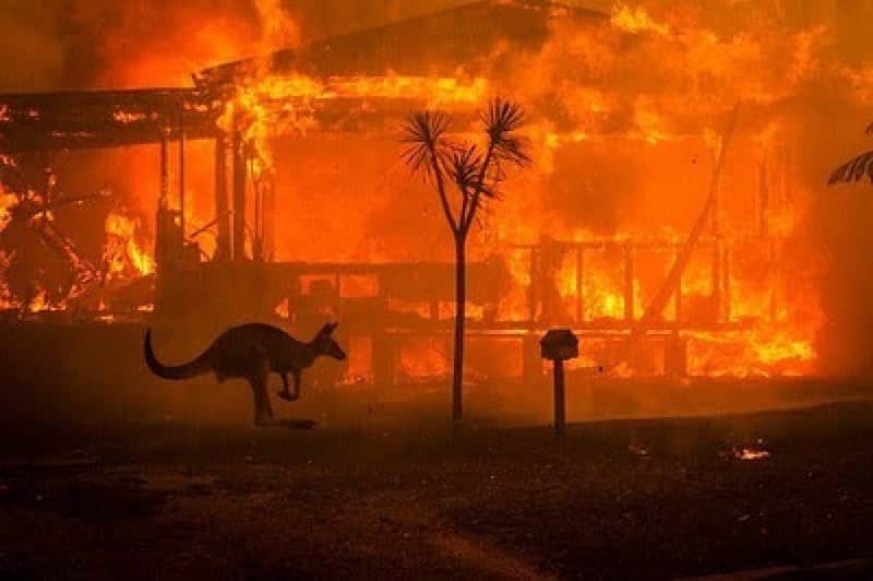 ValGarlandさんのインスタグラム写真 - (ValGarlandInstagram)「This just breaks my heart💔💔💔 🦘Bushfires in Australia🔥 Photo by @mattabbottphoto for @nytimes 🔥🔥🔥 Over 14.5 million acres have now burned and an estimated 500 million mammals, birds and reptiles have been lost 🐨😭🦃😭🦎😭 Right now, Australia is still on fire ☄️☄️☄️ 🇦🇺 Please tag, share and repost to spread the word ↪️🔁🔊to support the volunteer firefighters and wildlife rescue 🆘💰🙏🏻 . @nswrfs  https://www.rfs.nsw.gov.au/about-us/fundraising . @redcrossau  https://www.fundraise.redcross.org.au/drr . @salvosau  https://www.salvationarmy.org.au/donate/ . @wireswildliferescue  http://www.wires.org.au/donate/emergency-fund . << Demand Climate Action Now >> @theclimatecouncil ✊🏻✊🏻✊🏻@scottmorrisonmp . . . #australia #australiaisburning #australianbushfires #bushfiresaustralia #bushfire #bushfirecrisis #nsw #nswfires #fiery #apocalypse #armageddon #ecocide #globalwarming #globalwarmingisreal #climatechangeisreal #climatechange #climatecrisis #climateaction #climateactionnow #climateemergency #stateofemergency #wakeup #wakeupcall #calltoaction #takeaction #weareinthistogether」1月6日 21時00分 - thevalgarland