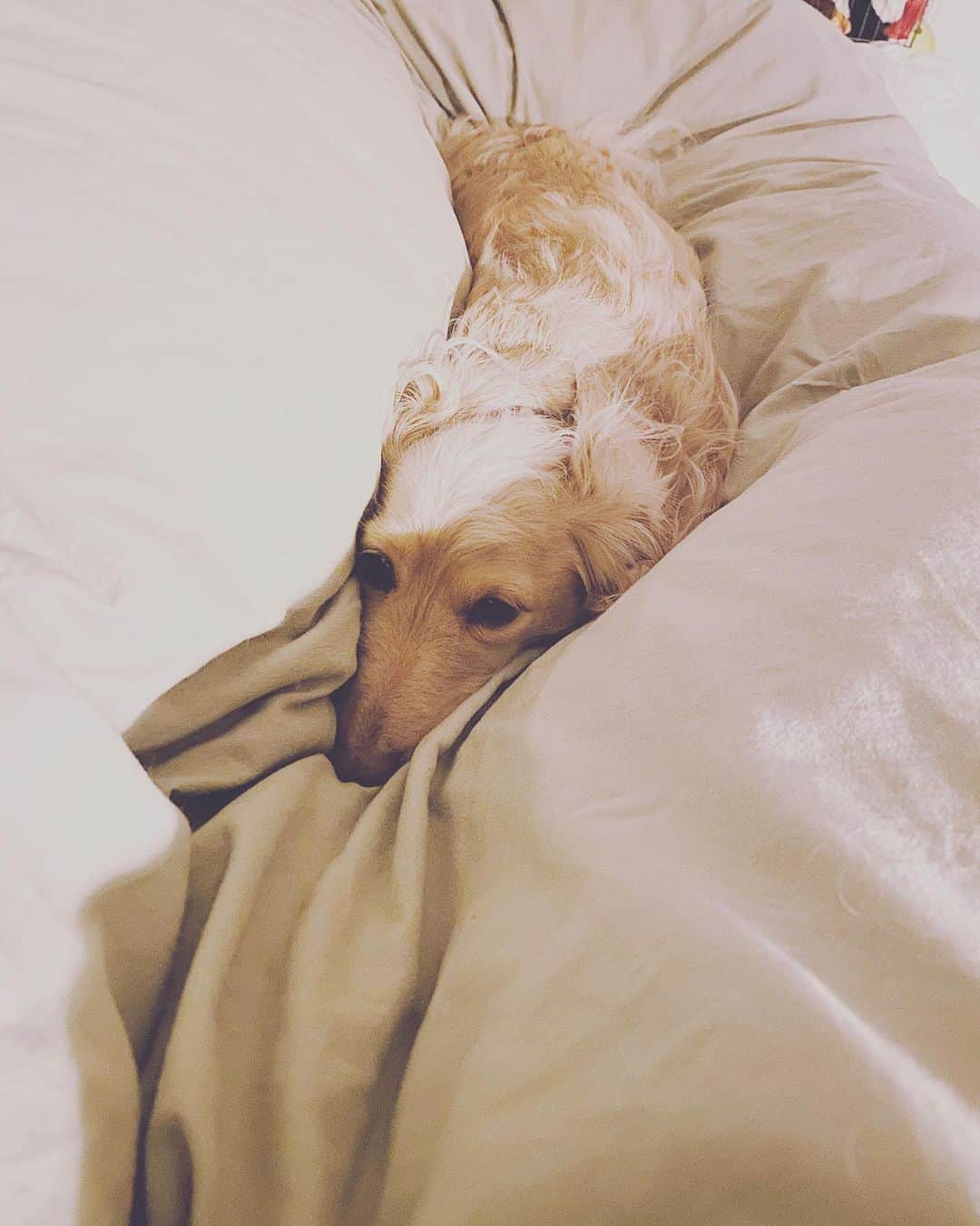 BETTYのインスタグラム：「新年初仕事 皆さんお疲れ様です！！ いくまではだるい！ 行ったらなんとなくやれるもの。 いくまでが仕事です！！←」