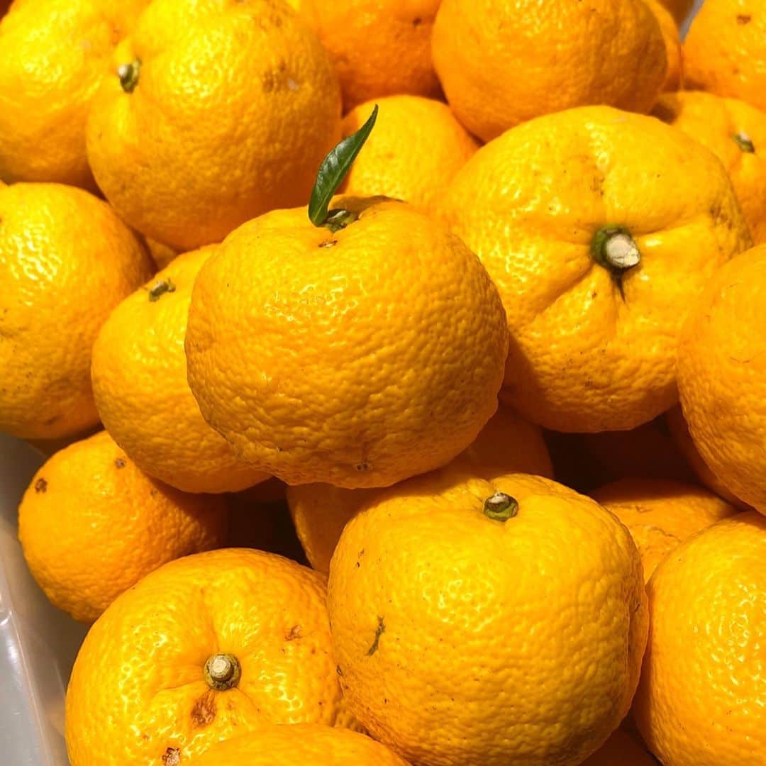 green bean to bar CHOCOLATEのグルメインスタ