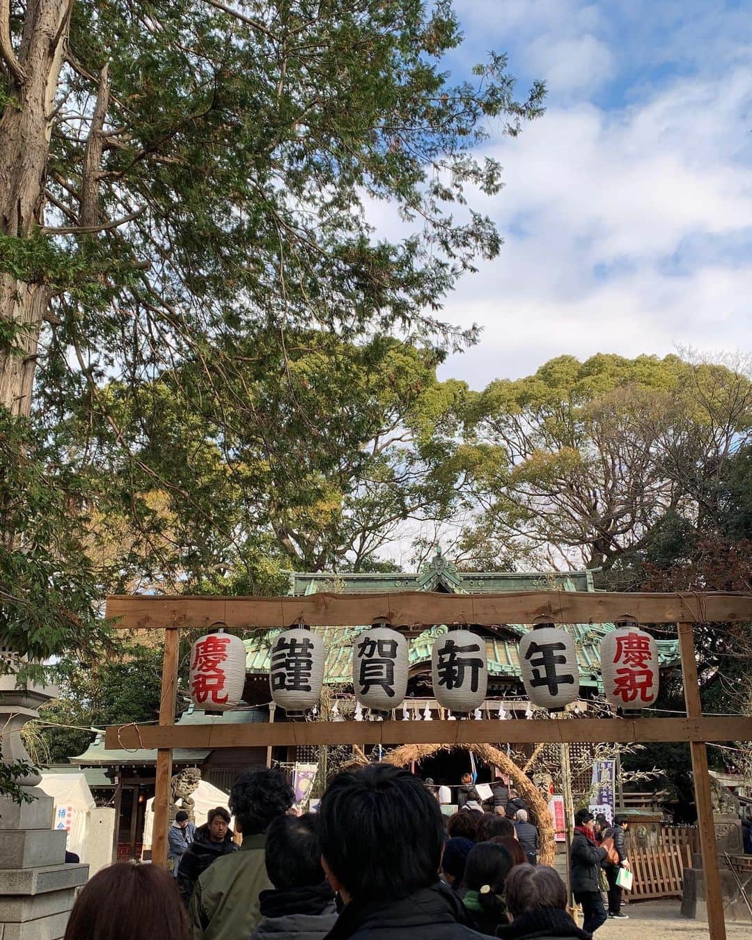田沢美亜さんのインスタグラム写真 - (田沢美亜Instagram)「新年明けましておめでとうございます🎍  今年は東京でのんびりと過ごしたお正月でした。  新しい年が皆さまにとって 　幸多き年となりますように✨  本年もどうぞよろしく願い致します😊  #令和2年　#藍酒　#藍のある暮らし #tokyolife #uraku_tokyo #mia_no_wa_kokoro」1月6日 21時57分 - miatazawa