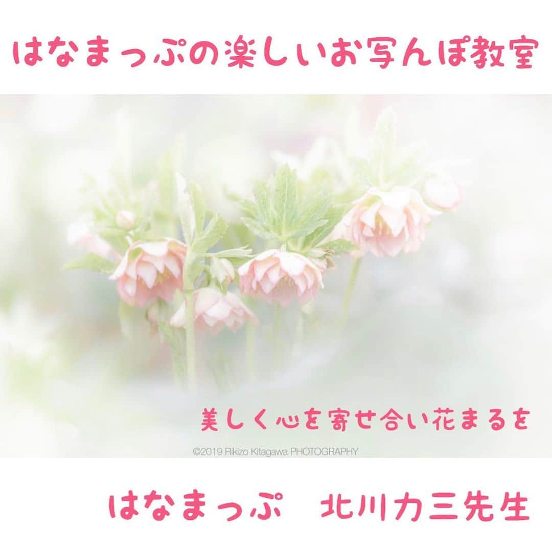 はなまっぷ❁日本の花風景さんのインスタグラム写真 - (はなまっぷ❁日本の花風景Instagram)「美しく心を寄せ合い花まるを💮 * はなまっぷの楽しいお写んぽ教室📷 * みなさんこんばんは😊 いつも素敵なお花をたくさんありがとうございます😊🌸 * みなさんと、そしてお花たちとも 心を寄せ合いながら楽しむ 「　#はなまっぷの楽しいお写んぽ教室　」 * 2020年最初のお写んぽ教室は、2度目の平日開催を奈良県で、そして土曜日には、灘黒岩水仙郷や立川水仙郷、あわじ花さじきのお花畑など、真冬でも花盛り🌸見どころたくさん淡路島での開催です。ご都合のつく方はぜひご応募くださいね😄 * 2月上旬には、はなまっぷ展に合わせて愛知周辺でのお写んぽ教室を開催予定です。 * 🌸•••🌸•••🌸•••🌸•••🌸•••🌸•••🌸 * 第6回、第7回はなまっぷの楽しいお写んぽ教室📷 * 美しい花の写真や幻想的な風景写真を撮られる、写真家の北川力三先生をお招きして、写真教室を開催いたします。 しっかり学びたい方はもちろん、カメラを始めて間もない初心者の方もお気軽にご参加ください😊カメラの操作や専門用語が不安な方は私がサポートいたします。スマホやコンデジでのご参加ももちろん大歓迎！寒さに負けずに咲く可愛いお花たちを愛でながら、花まる気分で撮影しましょう🌸✨ * 【講師】写真家 北川力三先生  @rikizo_kitagawa 【日時・訪問先】いづれも雨天中止 2020年1月17日(金) 奈良県　馬見丘陵公園 午前10:00〜12:00（集合9:40〜） 午後14:00〜16:00（集合13:40〜） 2020年1月18日(土) 兵庫県　国営明石海峡公園 午前9:30〜11:30（集合9:10〜） 午後14:00〜16:00（集合13:40〜） 【定員】各回20名 おひとり様大歓迎。3名一組様までご応募可能です。 【参加費】お一人様3,000円 当日集金させていただきます。別途入園料が必要です。 【応募期間】〜1/10(金)まで プロフィール欄のフォームよりご応募ください。応募者多数の場合は抽選とし、当選者の方のみ1/12(日)までにDMにて詳細をご連絡いたします。DMでのご連絡をもって参加確定とさせていただきます。 * 🌸•••🌸•••🌸•••🌸•••🌸•••🌸•••🌸 * #はなまっぷ」1月6日 21時58分 - hanamap