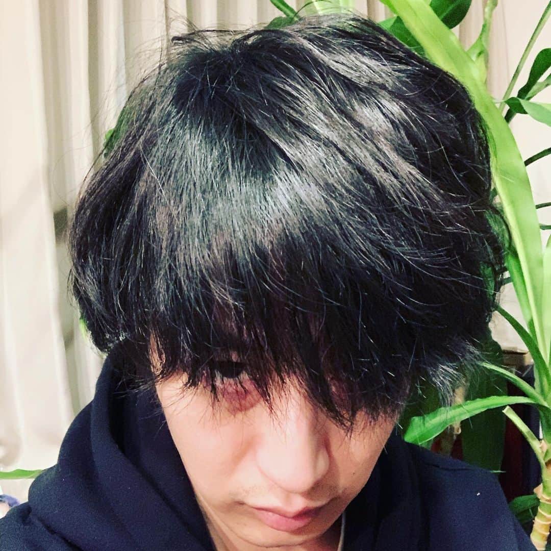 白井眞輝さんのインスタグラム写真 - (白井眞輝Instagram)「またパーマかけました。  #髭剃り忘れた」1月6日 22時00分 - masakishirai_alexandros