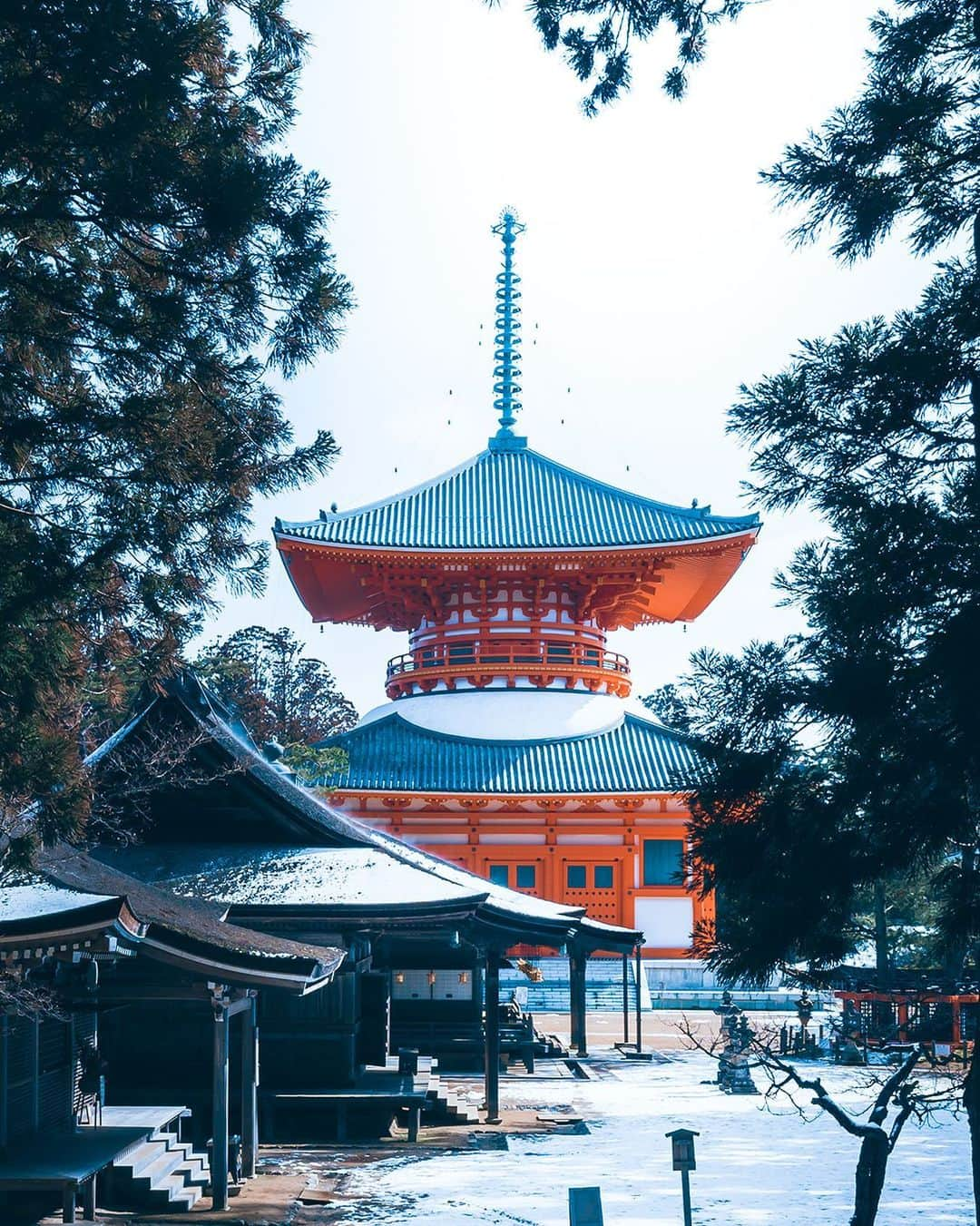 KLMオランダ航空さんのインスタグラム写真 - (KLMオランダ航空Instagram)「We're taking you to Koyasan, a settlement of temples south of Osaka and stunning World Heritage Site. Check our stories to get a glimpse! #KLM #RoyalDutchAirlines #FlyKLM」1月6日 22時18分 - klm