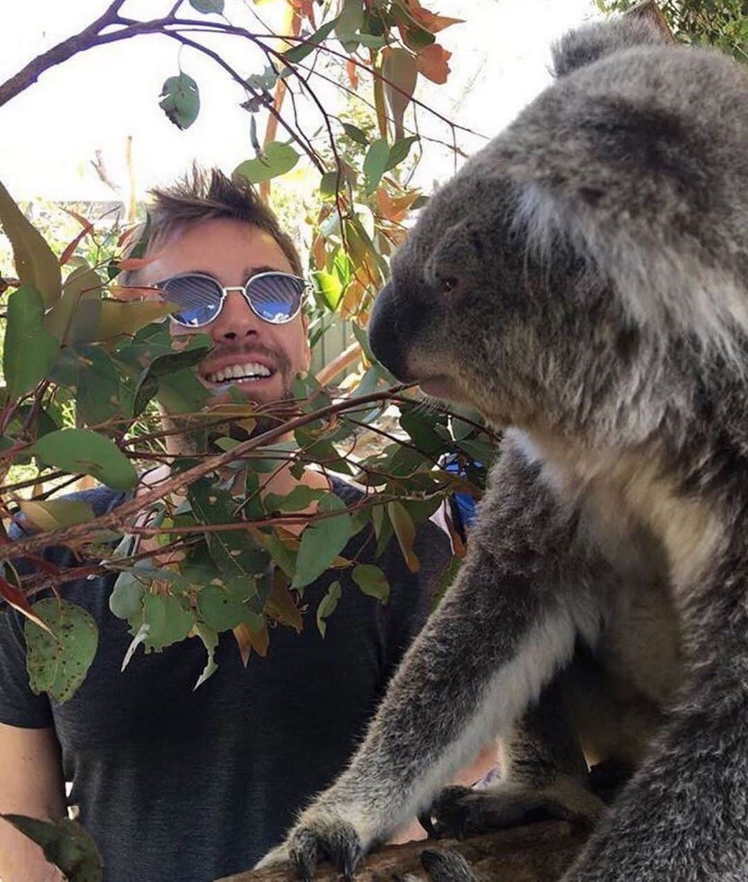muratdalkilicのインスタグラム：「O kadar güzeller ki! Onların yok olduğunu izlemek çok zor😞... Onlar gibi milyonlarca tür yok oluyor Avustralya yangınlarında! Elimizden gelen neyse; bu özel kıta için yapalım! Bu dünya hepimizin! Bütün canlılarla beraber BİZİM! #avustralyayanıyor #prayforaustralia」