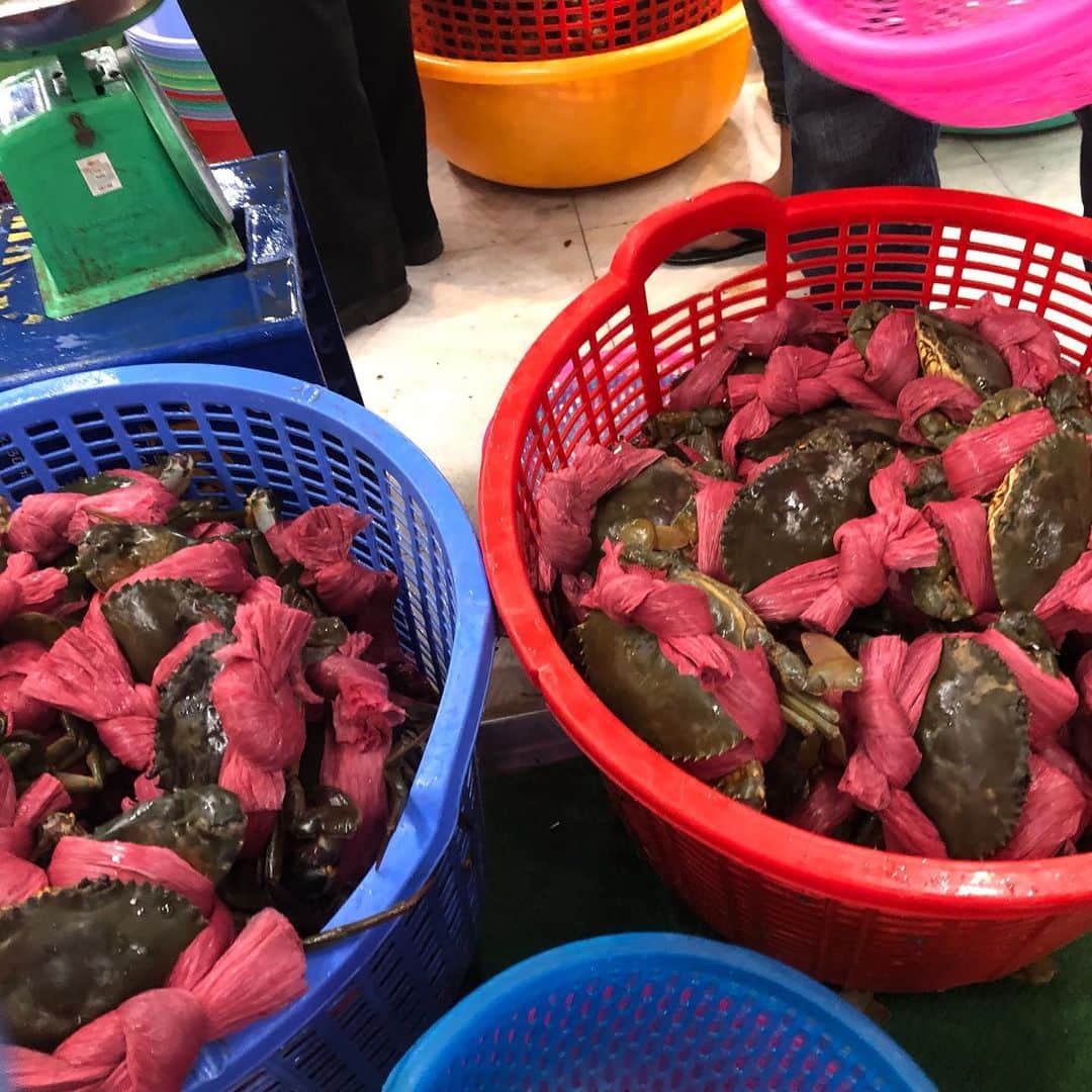 真奈さんのインスタグラム写真 - (真奈Instagram)「ベトナム🇻🇳 水槽から好きな海産物を 選んで食べられるの🐟💓 めーーっちゃ おいしかった🥰 . #ダナン #ベトナム」1月6日 23時05分 - manatmnt0116