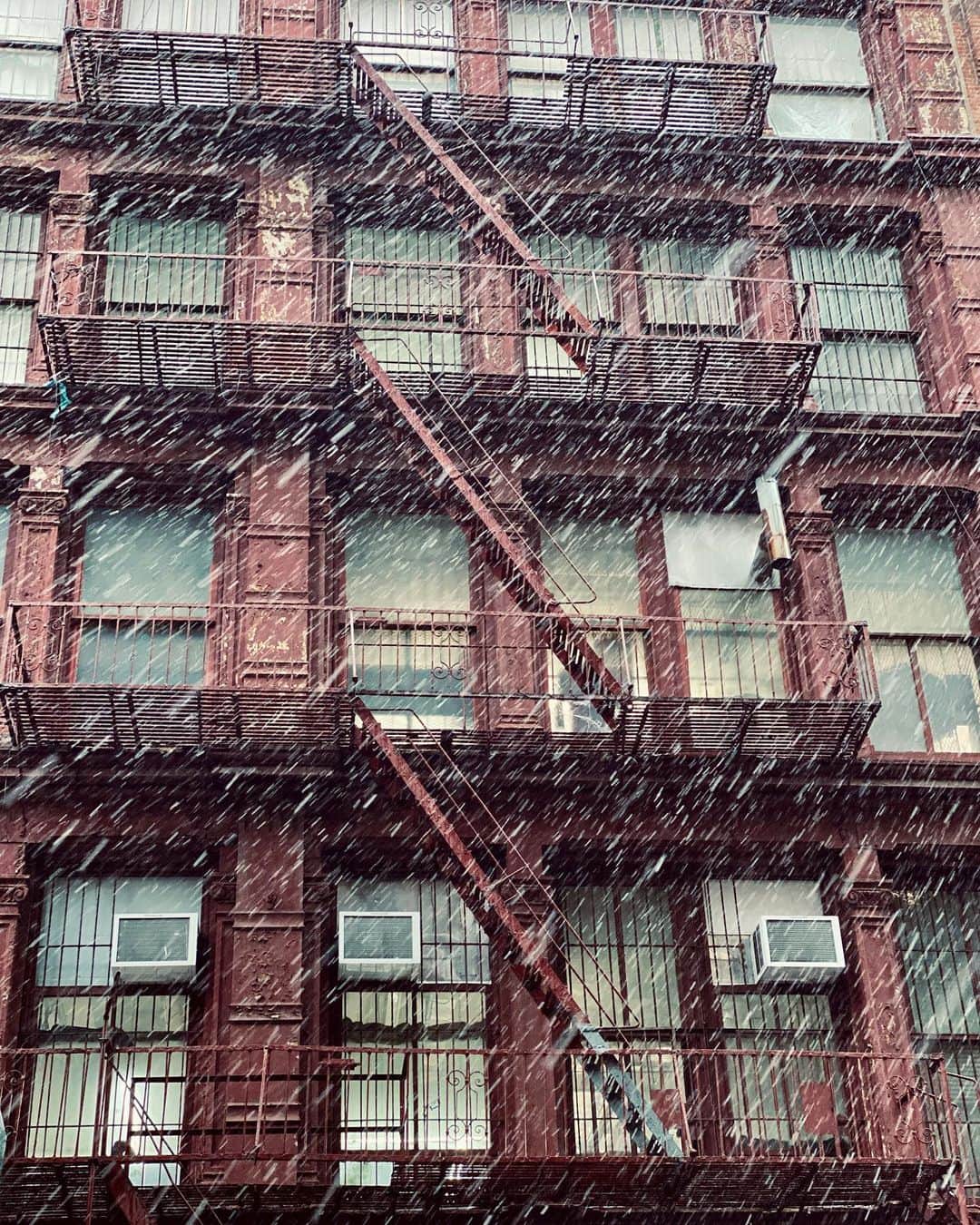 ウィリー・カルティエさんのインスタグラム写真 - (ウィリー・カルティエInstagram)「~ Let it snow ~  #shotoniphone」1月3日 3時40分 - willycartier