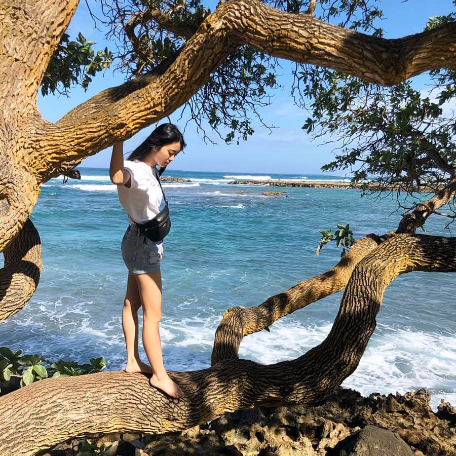 川畑綾理のインスタグラム：「🤍💙🤍💙 . . .  #hawaii #oahu #northshore #waikiki #waikikibeach #turtlebay #beach #sea #l4l #f4f #ootd #fashion #ハワイ #オアフ島 #ノースショア #ワイキキ #ワイキキビーチ #タートルベイ #海 #ビーチ #いいね返し #いいね返します #フォロー返し #フォロー返します #フォロバ #ハワイ旅行 #旅行 #シブサン #プラチナムプロダクション」
