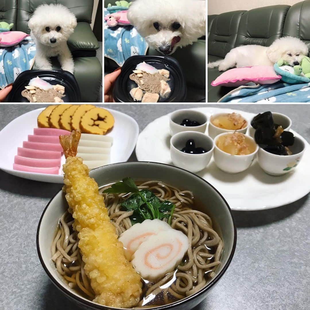 小林未来さんのインスタグラム写真 - (小林未来Instagram)「愛犬も一緒に犬用おそば🍥で年越ししたよ🍜 今年もよろしくお願いします🐩💕 #bichonfrise #bichonfrisé #年越し蕎麦」1月2日 18時47分 - mirai.kobayashi