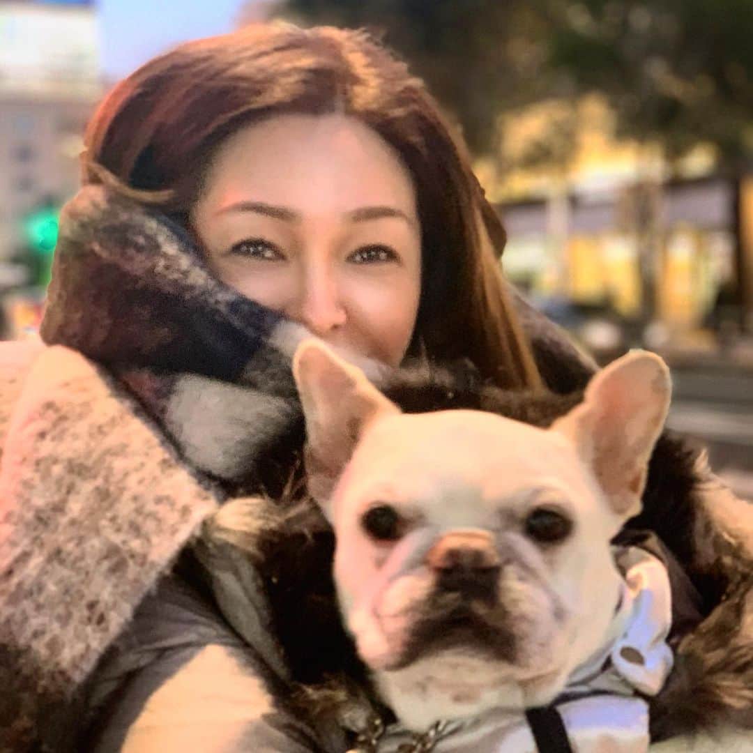 川原亜矢子のインスタグラム：「Winter 2020 #newyear #frenchbulldog  #dog #tokyo #新年 #フレブル #東京 #川原亜矢子」