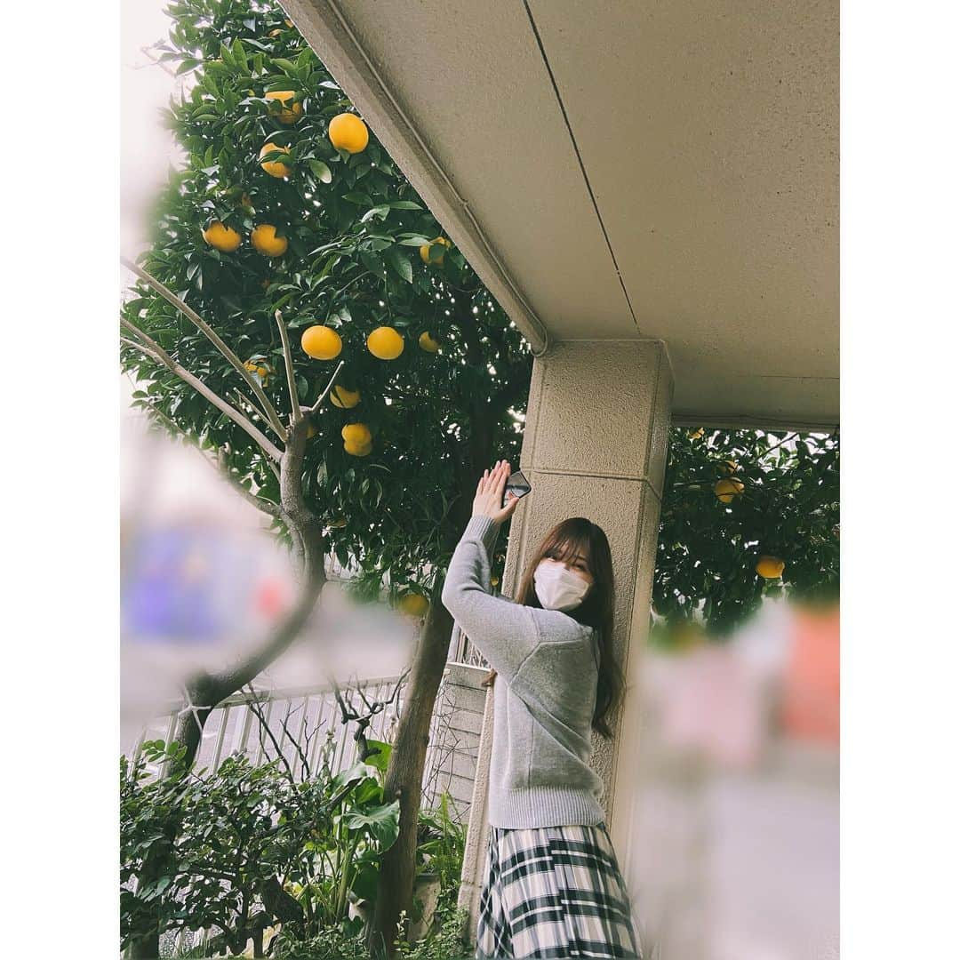 大原ゆい子のインスタグラム：「あけましておめでとうございます。🍊#2020」