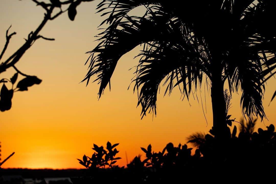 Kafuu Resortさんのインスタグラム写真 - (Kafuu ResortInstagram)「Kafuuでは全室、全レストランから綺麗なオーシャンビューと夕陽の景色が望めます。 . #sunseteasekafuu #sunsetease #夕日の見える宿日本一 #カフーリゾートフチャクコンドホテル #カフーリゾート #kafuuresort #kafuuresortfuchakucondohotel #黄昏 #夕陽 #夕日 #サンセット #sunset  #贅沢 #リゾートホテル #リゾート #沖縄ホテル #沖縄 #恩納村 #okinawa #ダレカニミセタイケシキ #ig_sunsets #instasunset #sunsetlovers #sunrise_sunsets_aroundworld #instagood」1月2日 19時10分 - kafuu_resort
