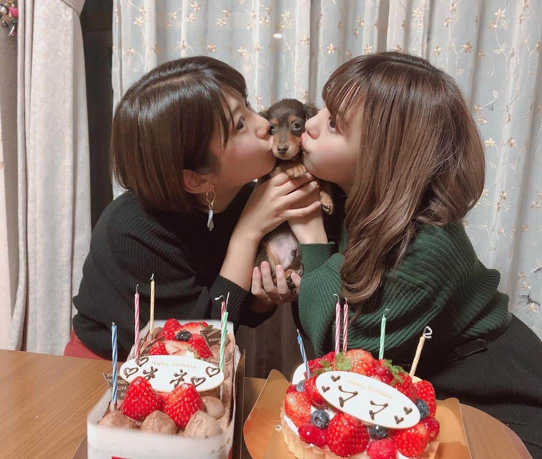 矢端名結さんのインスタグラム写真 - (矢端名結Instagram)「今日は母の誕生日🥰社会人になって初めて、当日お祝いできました🥂　 ちなみに、母は双子なので、叔母にあたるネネにもケーキ買ってきました💕 2人ともおめでとう㊗️ #コナ初めてケーキを見る#チョコナナ　#ケーキ　#誕生日　#おめでとう　#51歳」1月2日 19時31分 - miyu_yabata