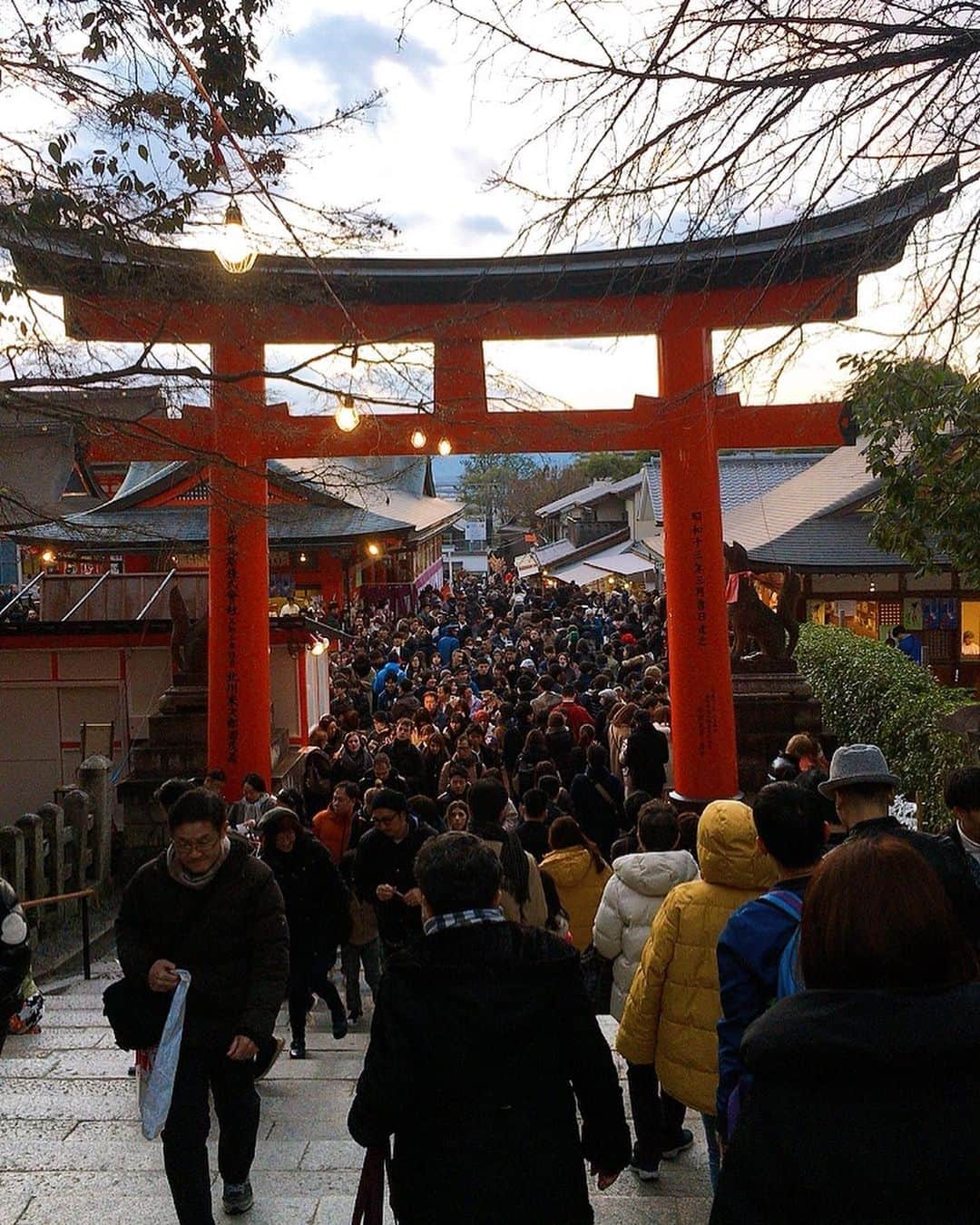 天舞音さらさんのインスタグラム写真 - (天舞音さらInstagram)「伏見稲荷へ初詣⛩ 京都に住んでるのに、 今まで行った事なかったの😳笑 めっちゃ綺麗だった！！ お参りの後は縁日でりんご飴 買って、ご機嫌で帰宅🍎  #fushimiinari #2020#初詣」1月2日 19時36分 - sara.amane