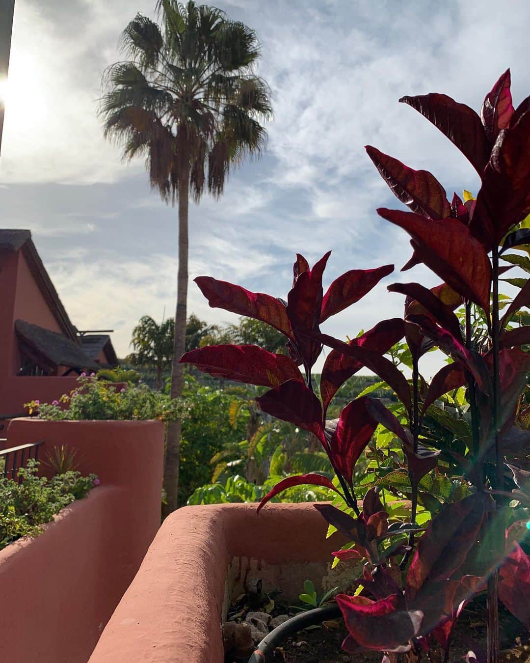草間淑江さんのインスタグラム写真 - (草間淑江Instagram)「カナリア諸島🇮🇨 いま空☀️ 日差しが出てきて暖かくなってきました。 お部屋も快適です😊 #カナリア諸島#いま空#旅#ホテル」1月2日 19時55分 - yoshie_kusama