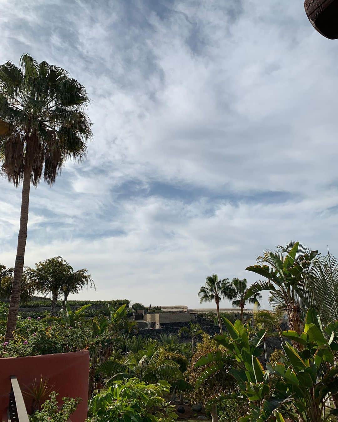 草間淑江さんのインスタグラム写真 - (草間淑江Instagram)「カナリア諸島🇮🇨 いま空☀️ 日差しが出てきて暖かくなってきました。 お部屋も快適です😊 #カナリア諸島#いま空#旅#ホテル」1月2日 19時55分 - yoshie_kusama