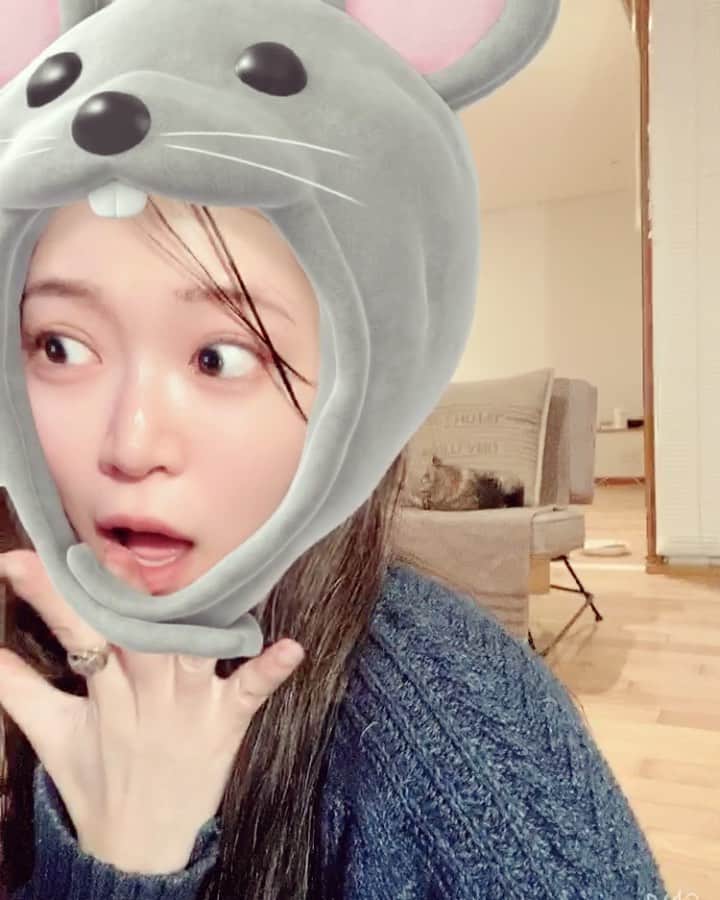 DJ mariennuのインスタグラム：「2020ねん あけまして🐀 おめでとう🐈 ございます㊗️ 今年も宜しくお願いします。」