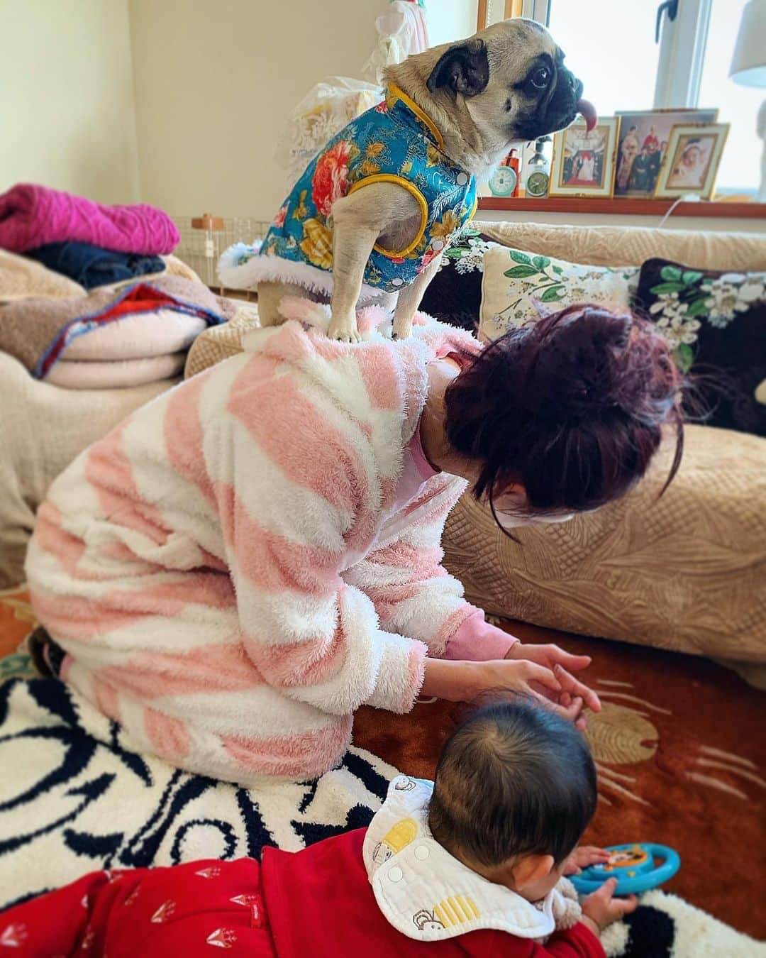 のインスタグラム：「💖 . 実家で叔母もも大活躍ちう🐶👶 . . #happynewyear#あけおめ#ことよろ#2020#newyears2020#newyearsday#お正月#帰省#実家#青森#八戸#パグ#ペット#つくね#パグ#叔母もも#おばもも#犬#イッヌ#baby#お年玉#新年#子守」