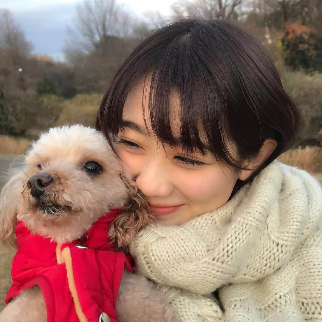 秋本帆華さんのインスタグラム写真 - (秋本帆華Instagram)「. お正月みんなは何して過ごしてるのかな☺️？ 私はゴロゴロまったり満喫中💓 毎年恒例叔父さんの手作りお節を食べたり♪ 初売りでぽてとの服買ったり♪ お腹いっぱい幸せいっぱい✨✨✨ #こたつむりんからの投稿」1月2日 20時57分 - honoka_akimoto_official