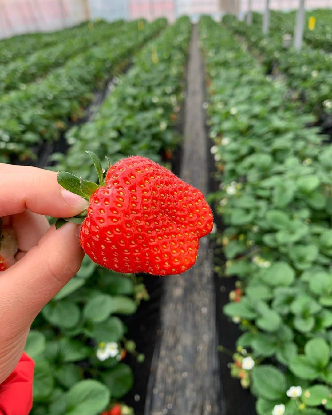 山口すず夏のインスタグラム