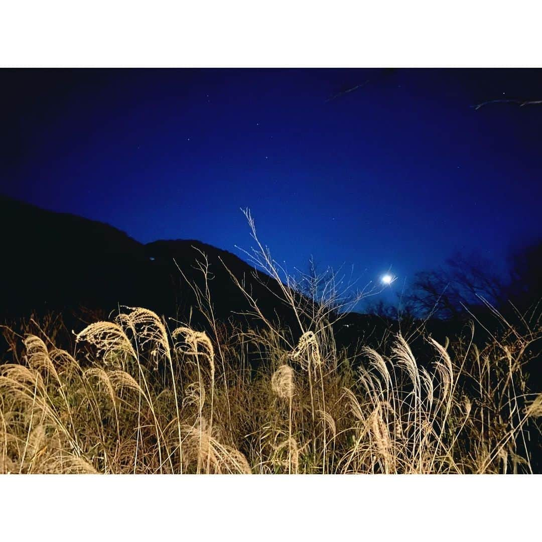 原田新平さんのインスタグラム写真 - (原田新平Instagram)「自然溢れる中で見る月と、今横浜の実家に帰ってきて見る月  同じ月と空なのに、これだけ差がある  余計なものがあると綺麗なもの、本当に大事なものが見えなくなるよ  大事なものは素朴なもの  シンプルなもの  #studiolotus #reason #箱根 #横浜  #月 #自然 #music #art #instaphoto #story  #nature #naturemusic #photography #beatifulday #2020 #heartbeats #simple #simplelife」1月2日 21時42分 - shimpeiharada