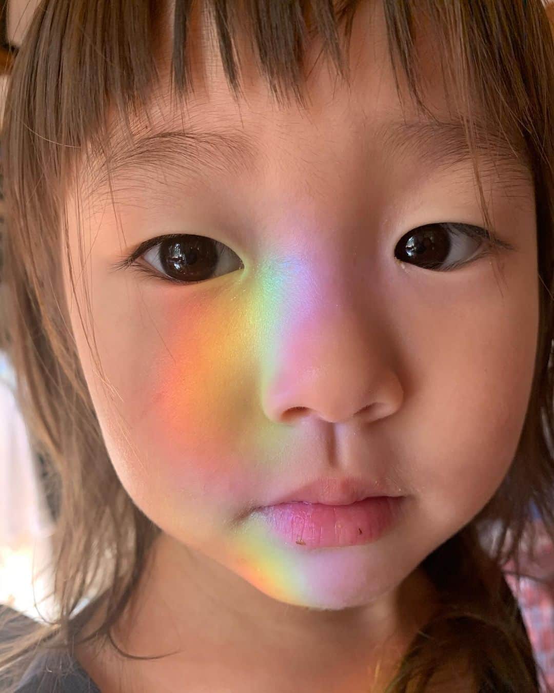 坂本美雨さんのインスタグラム写真 - (坂本美雨Instagram)「"I see your true colors shining through"  #今日のなまこちゃん」1月2日 21時49分 - miu_sakamoto
