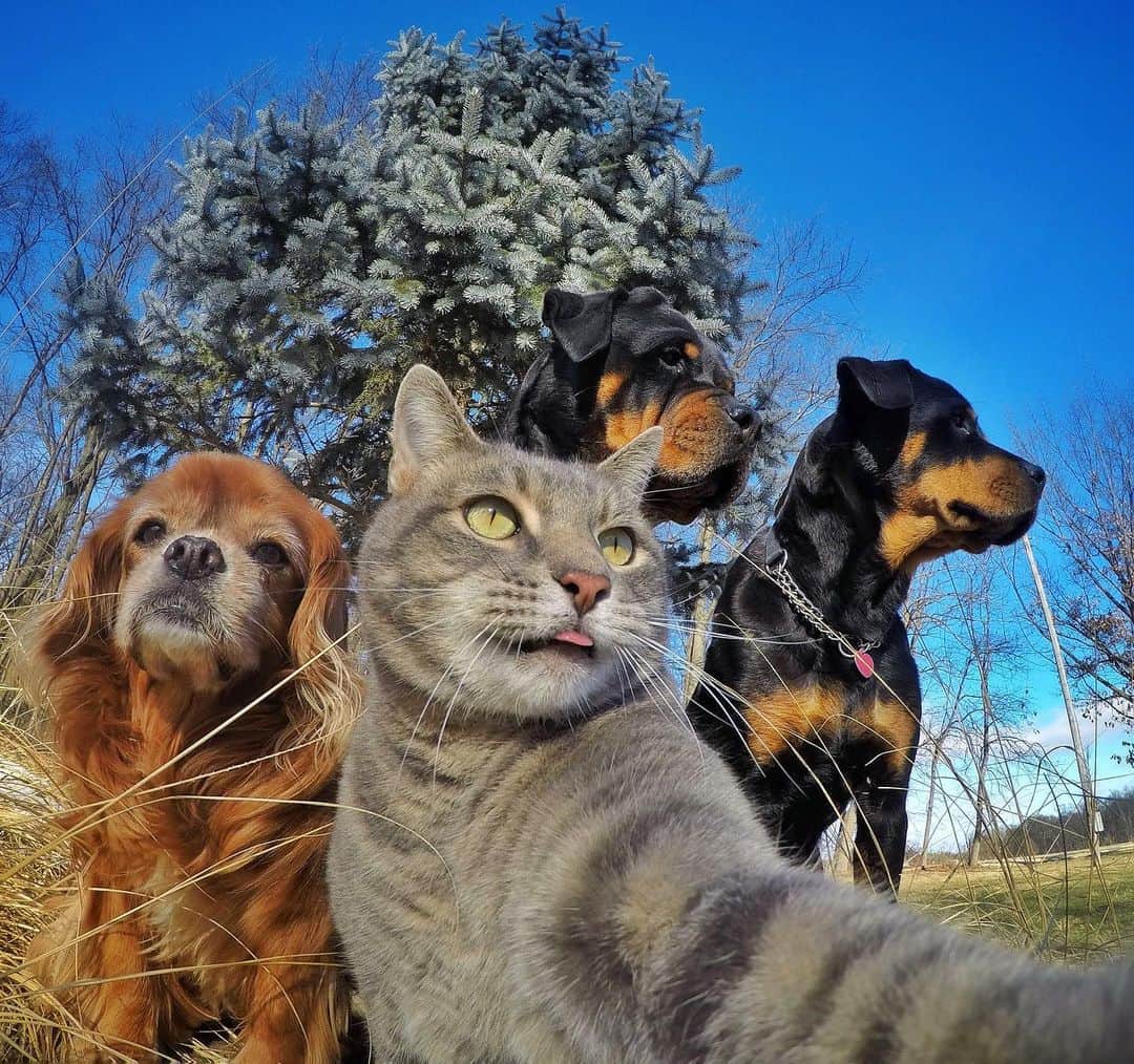 マニーのインスタグラム：「😺 Looking ahead to 2020 like.. Happy New Years! #GoPro #tbt」