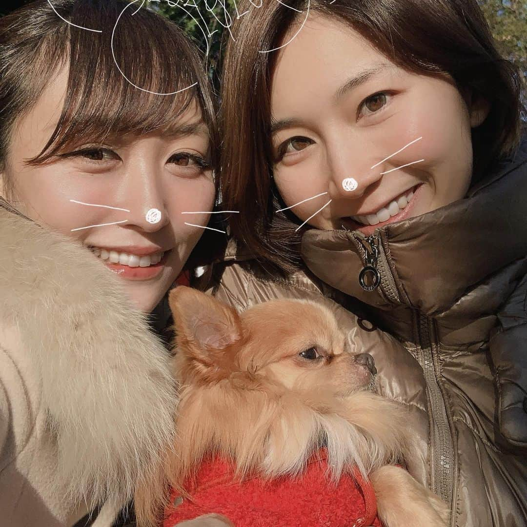 杉山美帆さんのインスタグラム写真 - (杉山美帆Instagram)「明けましておめでとうございます🎍✨本年も宜しくお願い致しますっ！♪ * 皆さんにとって素敵な1年になりますように🥺🤲 *  毎年恒例のきいちゃんと、ネルと初詣🤗 *  早く初滑りに行きたい🙄🏂 * #初詣　#ネル　#チワワ」1月2日 22時09分 - mih0_golf