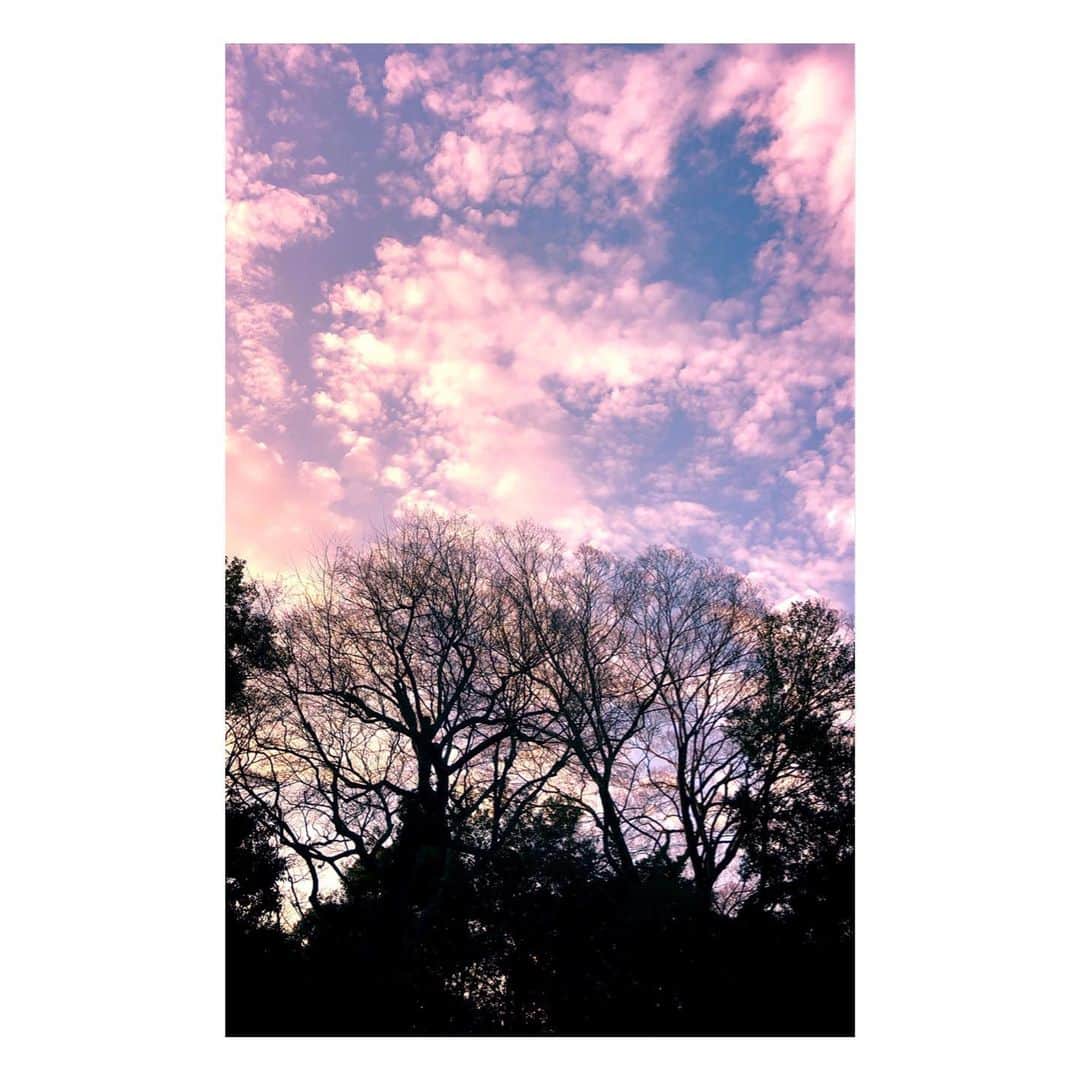 理絵さんのインスタグラム写真 - (理絵Instagram)「おやすみなさい、また明日  #sky #cielo #空 #하늘 #tokyo #japan」1月2日 22時31分 - ____rie____