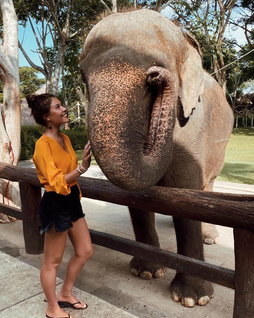 ミケラ・デュ・トイのインスタグラム：「fun fact: an elephant is one of the few animals that can recognize it’s reflection in a mirror.. Ya, the orangutan couldn’t believe it either」