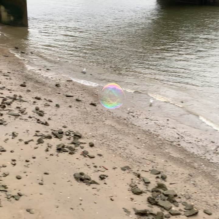 長谷川踏太のインスタグラム：「a bubble on river thames」
