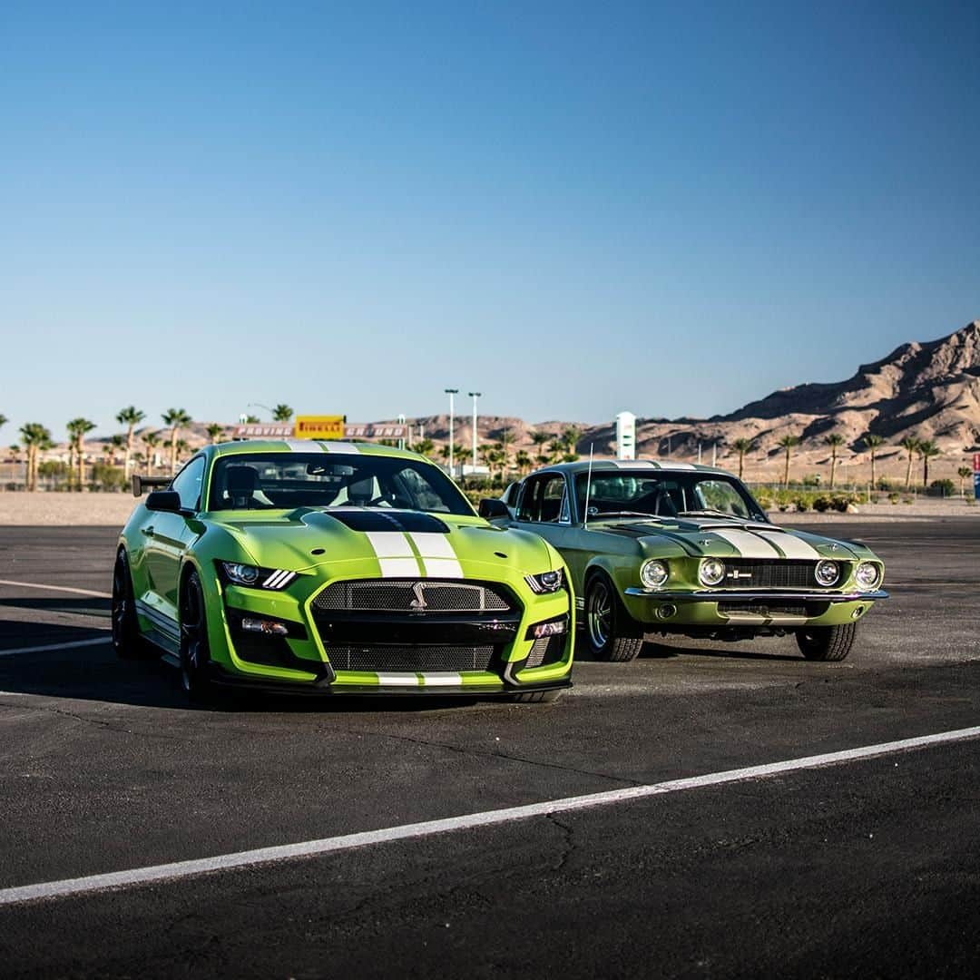 Fordさんのインスタグラム写真 - (FordInstagram)「Pick your poison. 🐍 . *Shelby and GT500 are registered trademarks of Carroll Hall Shelby Trust. . #FordMustang #ShelbyGT500 #GT500TrackTour」1月3日 0時00分 - ford