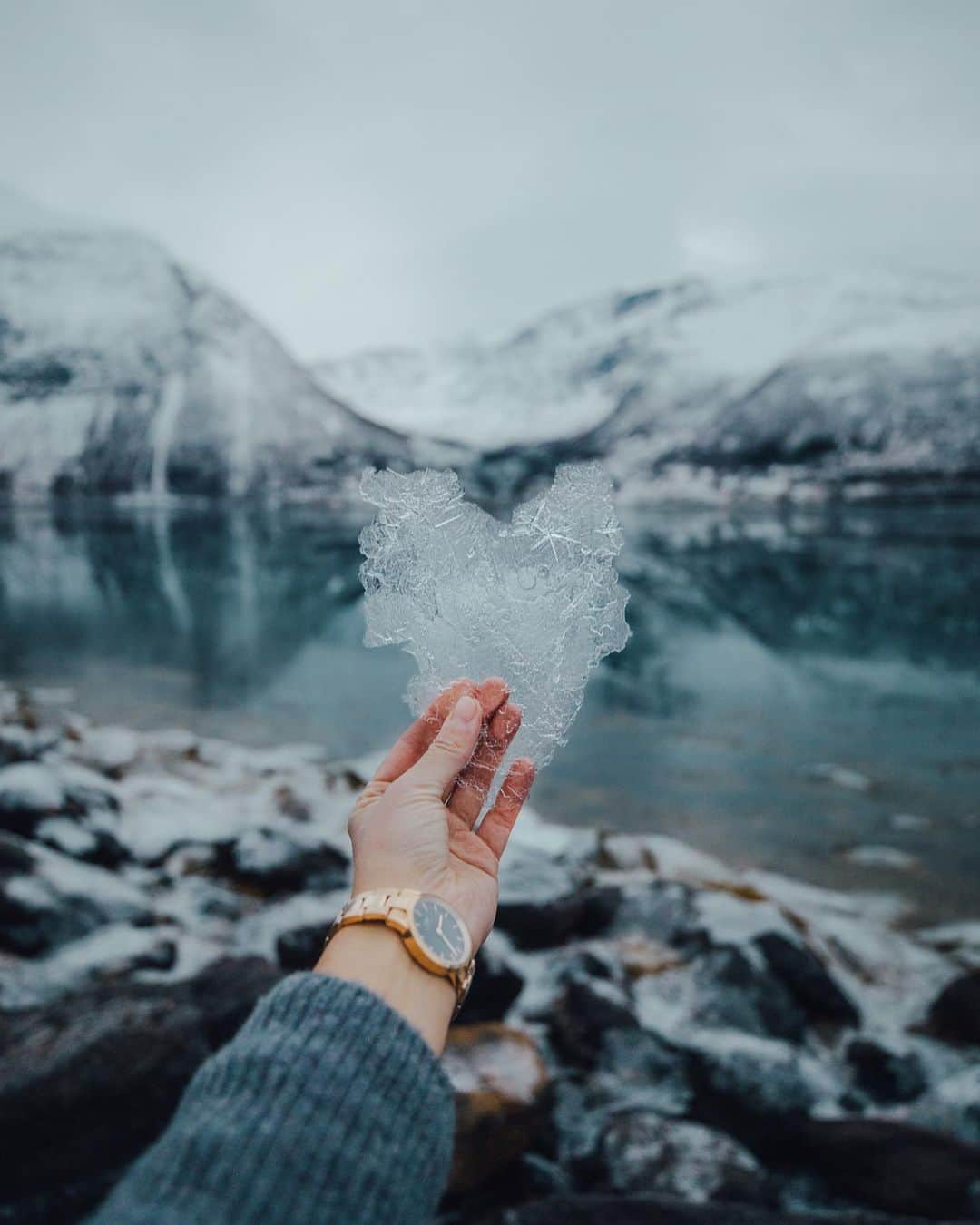 ダニエルウェリントンさんのインスタグラム写真 - (ダニエルウェリントンInstagram)「The days are getting colder, have a warm heart. (Photo via @julia_kivela) #DanielWellington」1月3日 0時01分 - danielwellington