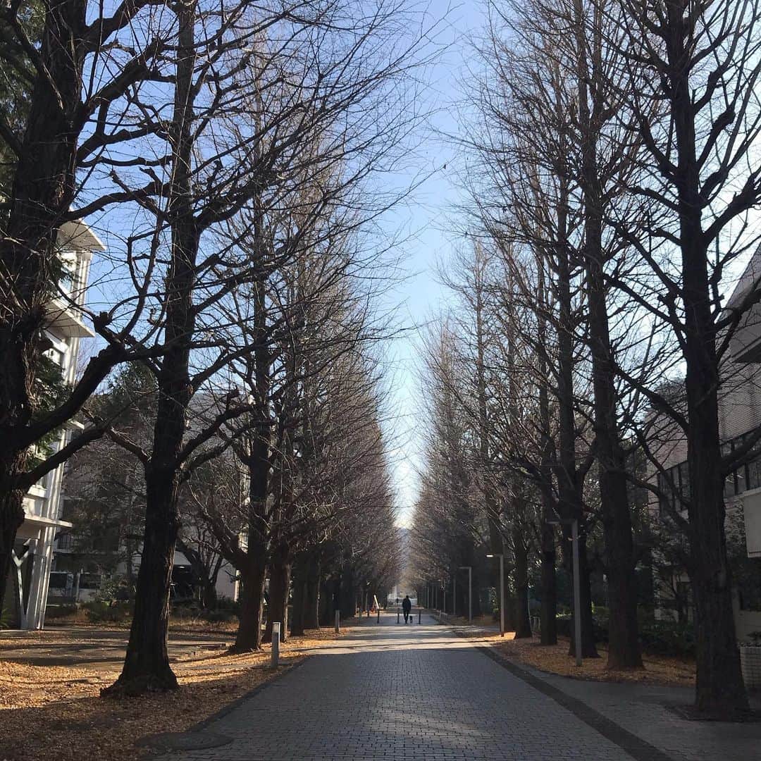 塩田真弓さんのインスタグラム写真 - (塩田真弓Instagram)「明けましておめでとうございます  目の前の未知なる道を 真っすぐに進む2020に  本年もどうぞよろしくお願いいたします」1月3日 0時40分 - mayumi_shiota_