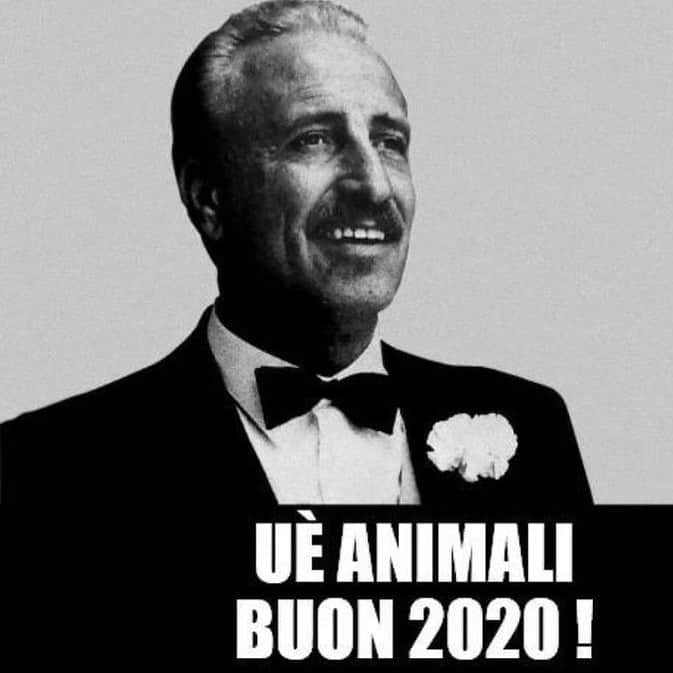 マッシモ・ゴッビのインスタグラム：「Buon 2020...taaaccc 😎 #Dogui #2020」