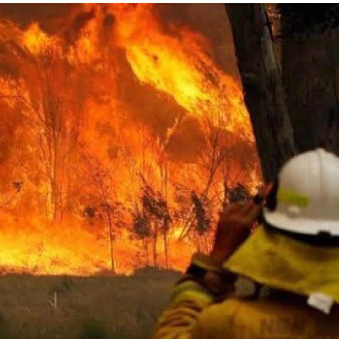 Tammyさんのインスタグラム写真 - (TammyInstagram)「Our home is burning 💔 these are the worst bushfires on record and they are still burning.  5 million hectares (15 MILLION ACRES!!!) of land has burned.  Our wildlife are burning alive (more than 500 MILLION!!) & many homes have been lost.  I Stay praying for all the families & the firefighters & the lives lost.  Link in my bio for one of the many organisations you can donate to & there is a wildlife emergency fund you can donate to on @wireswildliferescue」1月3日 12時35分 - tammyhembrow
