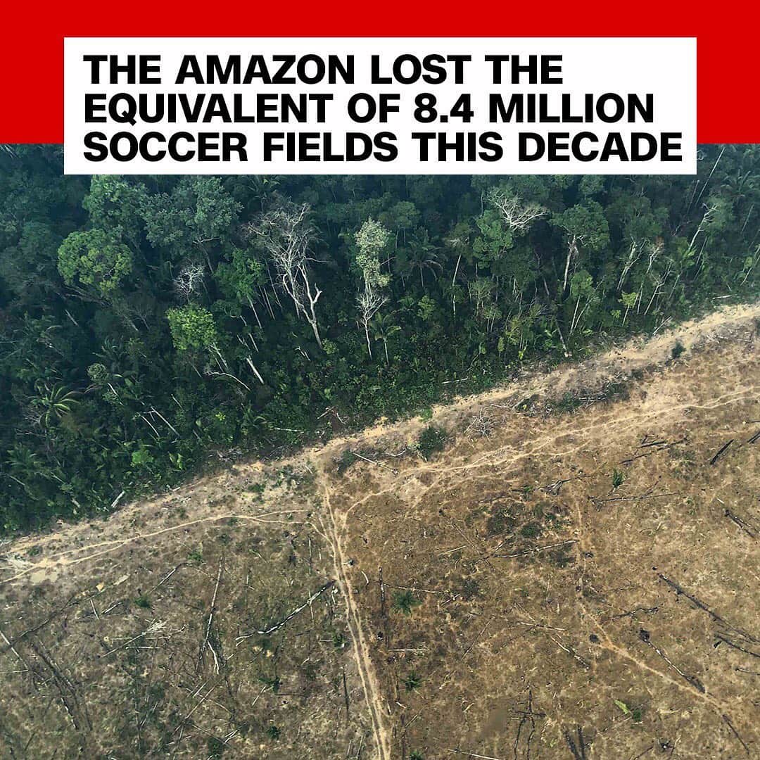 CNNさんのインスタグラム写真 - (CNNInstagram)「Deforestation has ravaged about 24,000 square miles of the Amazon rainforest—the equivalent of 8.4 million soccer fields—over the past decade, according to a report by the Royal Statistical Society, a British organization that analyzed data from the Brazilian government. Farmers, loggers and miners in recent years have taken advantage of relaxed controls on deforestation in Brazil and seized miles and miles of land for commercial development. (📸: @natalielgallon)」1月3日 4時34分 - cnn